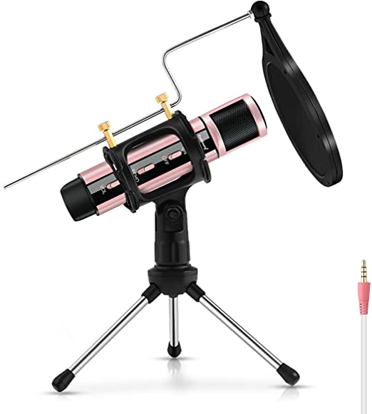 ZealSound Studio Microphone Condenser Recording & Broadcasting  With Stand Built-in Sound Card Echo Recording Karaoke Singing for Phone PC Garageband Smule Live Stream & YouTube