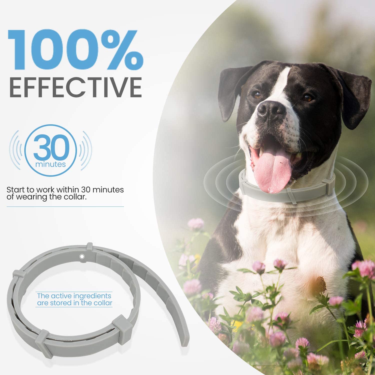 Pupmate - flashdealtoday