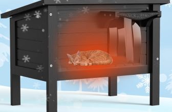 Weatherproof Outdoor Cat House – The Best Winter Shelter for Feral & Outdoor Cats (50% Off Deal Inside)